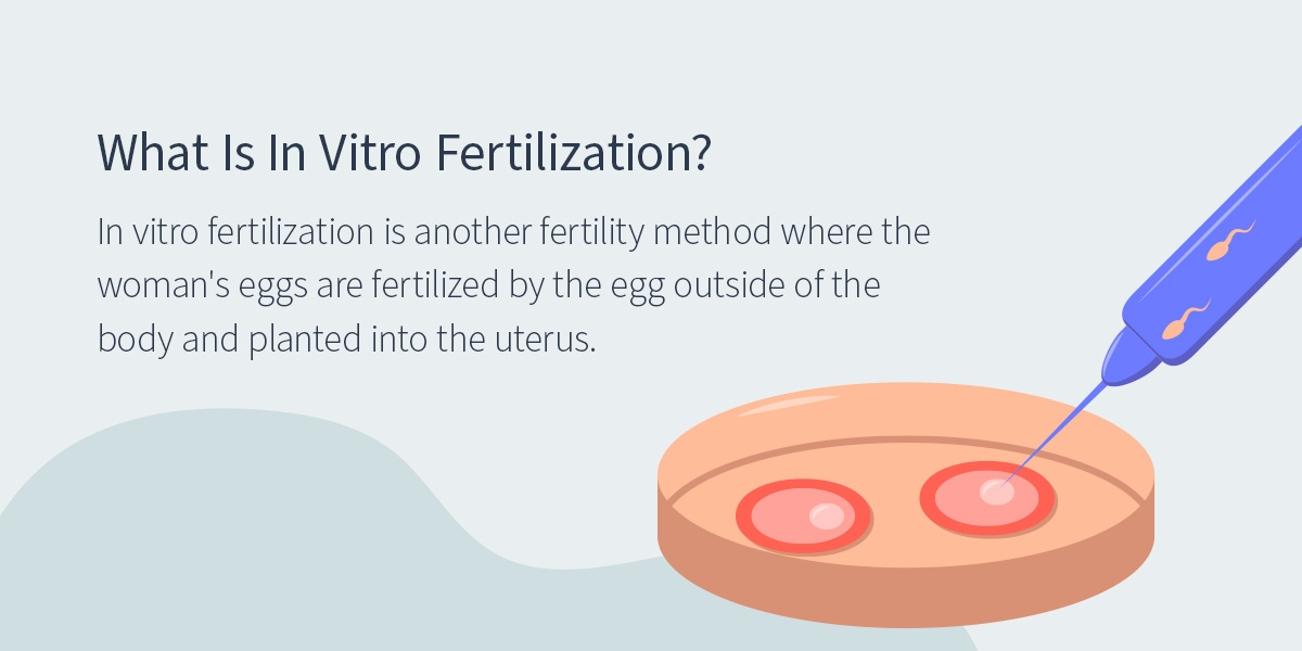 What Is In Vitro Fertilization?
